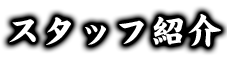 スタッフ紹介